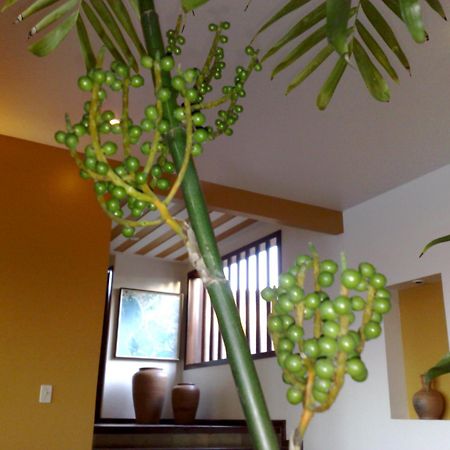 Pousada Gente Bonita Mirante Armacao dos Buzios ภายนอก รูปภาพ
